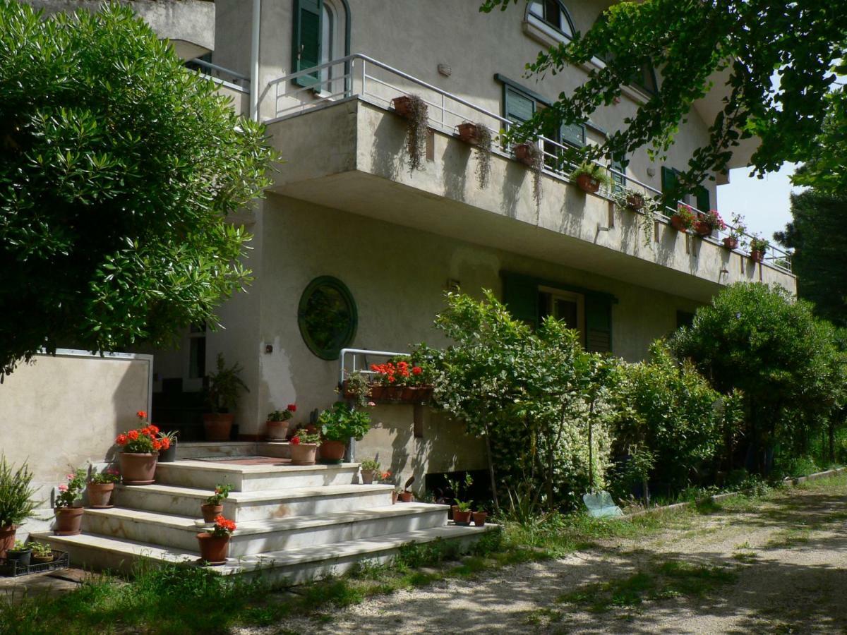 B&B Sun Garden Montoro Inferiore Exterior photo